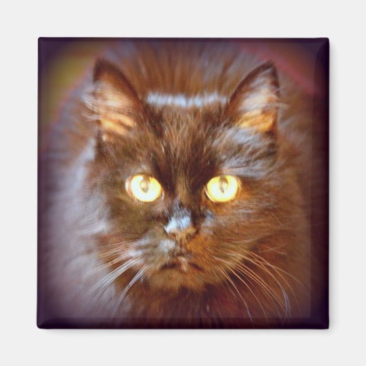 黒猫 マグネット (正面)