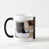 黒猫 モーフィングマグカップ (左)