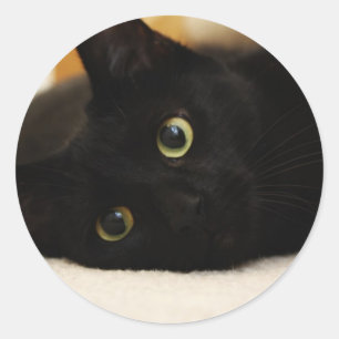 黒猫 ラウンドシール