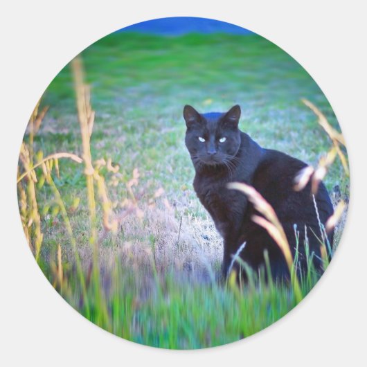 黒猫 ラウンドシール (正面)