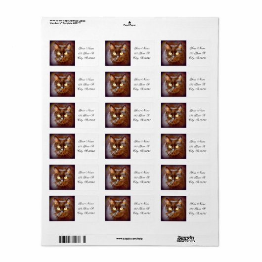 黒猫 ラベル (フルシート)