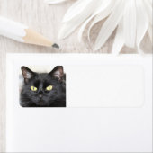 黒猫 ラベル (インサイチュ)