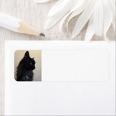 黒猫 ラベル (インサイチュ)