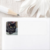 黒猫 ラベル (インサイチュ)