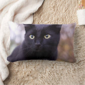 黒猫 ランバークッション (ブランケット)