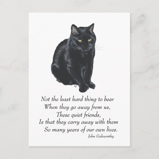 黒猫 レインボーブリッジ ポストカード (正面)