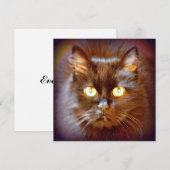 黒猫 招待状 (正面/裏面)