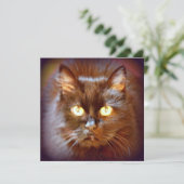 黒猫 招待状 (スタンド正面)