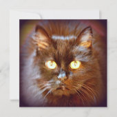 黒猫 招待状 (正面)