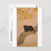 黒猫, 春草 Black Cat, Shunsō ポストカード (正面/裏面)