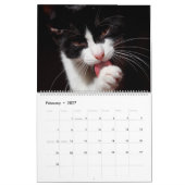 黒猫・白猫・子猫Kitty Cat 2021 カレンダー (2月 2027)