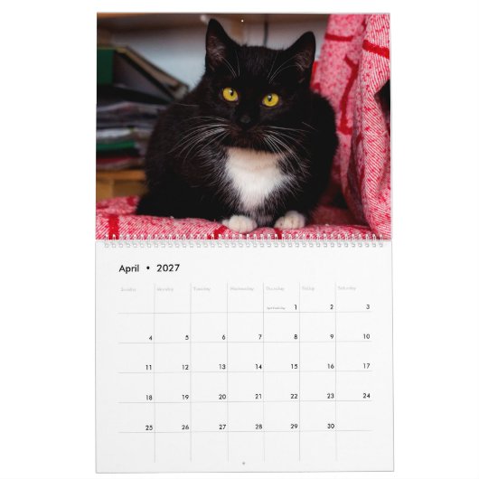 黒猫・白猫・子猫Kitty Cat 2021 カレンダー (4月 2027)
