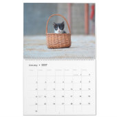 黒猫・白猫・子猫Kitty Cat 2021 カレンダー (1月 2027)