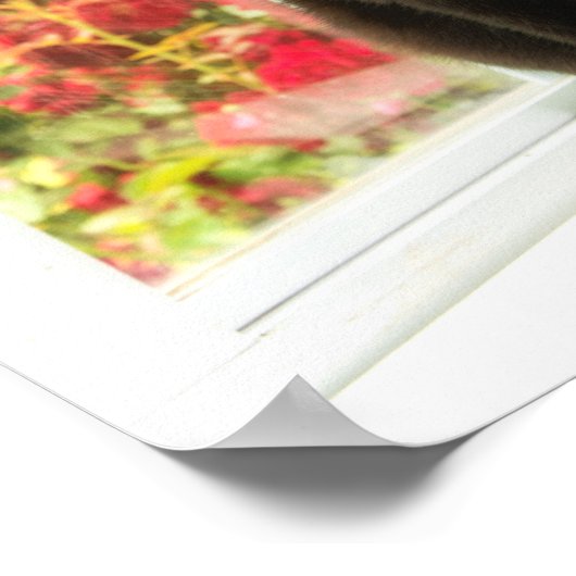 黒猫（白） ポスター (角)