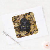 黒猫(紅葉) スクエアシール (封筒)