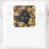 黒猫(紅葉) スクエアシール (バッグ)