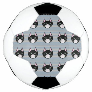 黒猫、縞模様 サッカーボール
