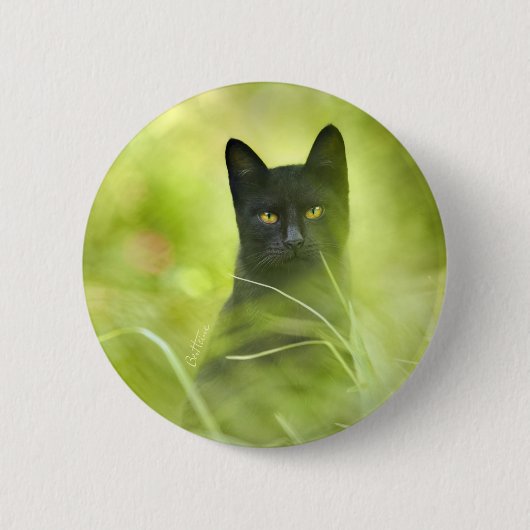 黒猫 缶バッジ (正面)