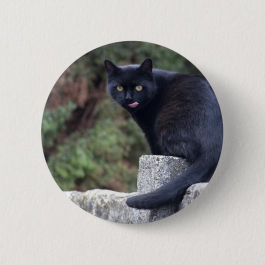 黒猫 缶バッジ (正面)