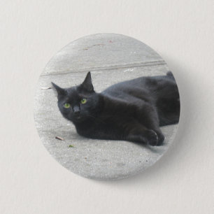 黒猫 缶バッジ