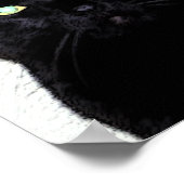 黒猫/赤白青 ポスター (角)