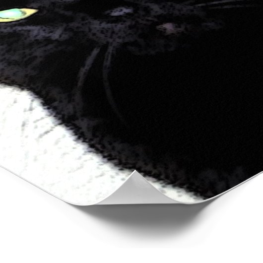 黒猫/赤白青 ポスター (角)