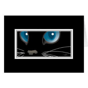 黒猫（青い目）