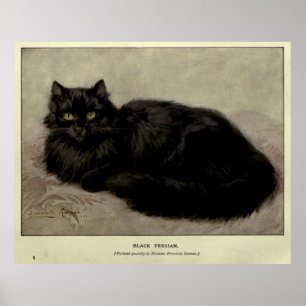 黒猫(1903年)のヴィンテージの絵を描くこと ポスター