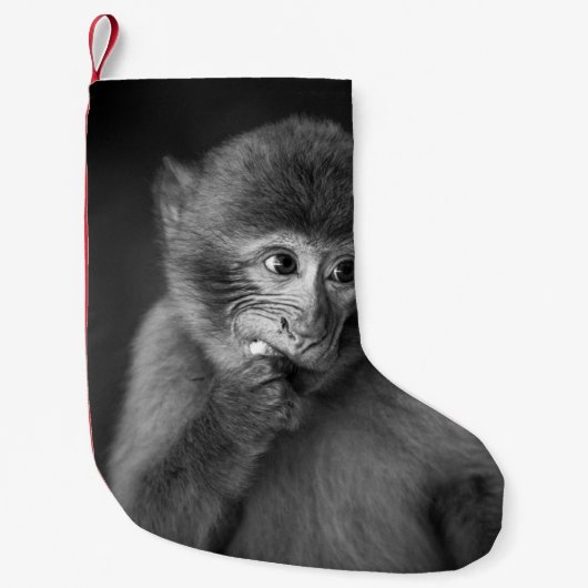 黒猿の浅焦点写真 スモールクリスマスストッキング (正面)