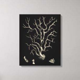 黒珊瑚礁 キャンバスプリント