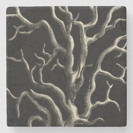 黒珊瑚礁 ストーンコースター (正面)