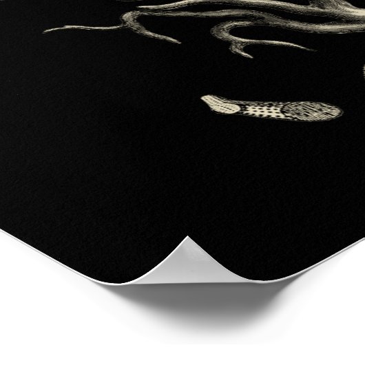 黒珊瑚礁 ポスター (角)