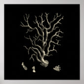 黒珊瑚礁 ポスター (正面)