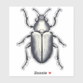 黒甲虫シール シール (シート)