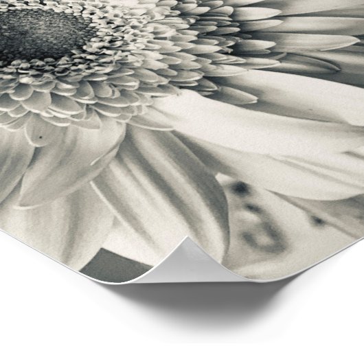 黒白のダリアの花の写真 ポスター (角)