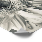 黒白のダaisyの花の写真 ポスター (角)