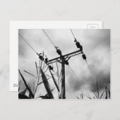 黒白のパイロン ポストカード (正面/裏面)