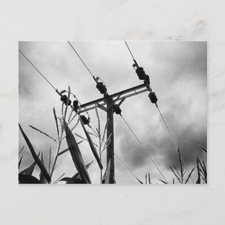 黒白のパイロン ポストカード