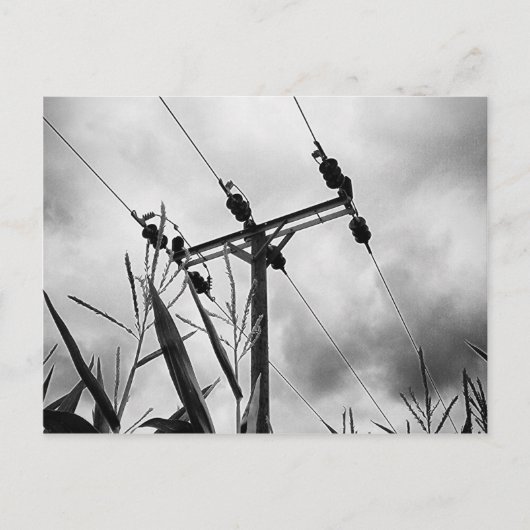 黒白のパイロン ポストカード (正面)