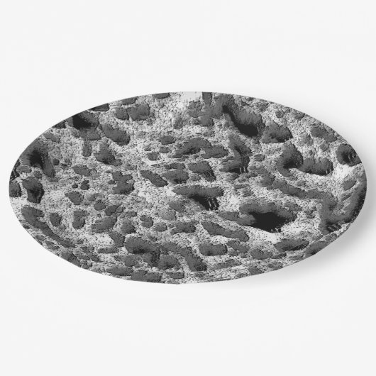黒白の丸い枕を持つサンゴ ペーパープレート (アングル)