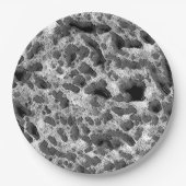 黒白の丸い枕を持つサンゴ ペーパープレート (正面)