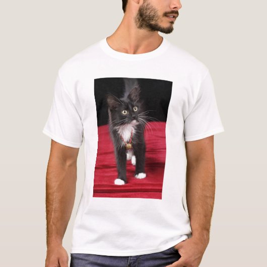 黒白の短毛の子猫、2ヶ月半 Tシャツ (正面)