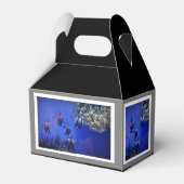 黒白アンジェフィッシュ深いブルーシー フェイバーボックス (裏面サイド)