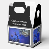 黒白アンジェフィッシュ深いブルーシー フェイバーボックス (オープン)