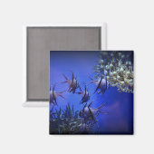 黒白アンジェフィッシュ深いブルーシー マグネット (正面/裏面)