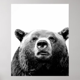 黒白クマの森の動物のピクピク写真 ポスター