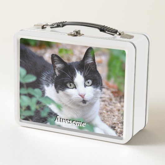 黒白タキシード猫のカスタム写真 メタルランチボックス (正面)
