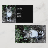 黒白トルコ猫の浪人 名刺 (正面/裏面)