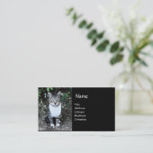 黒白トルコ猫の浪人 名刺 (スタンド正面)