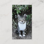 黒白トルコ猫の浪人 名刺 (裏面)